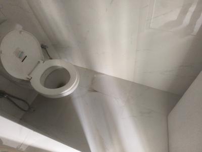 Bathroom Image of 450 Sq.ft 1 BHK Apartment / Flat for rent in Runwal Gardens, Dombivli East Thane for Rs. 10000