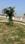 Iscon Green Plot View 2