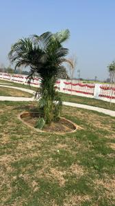 Image of 1250 Sq.ft Residential Plot / Land for sale in Iscon Green City, Gosainganj, Lucknow for Rs. 2500000