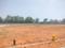 Koppa Gate Main Image 1