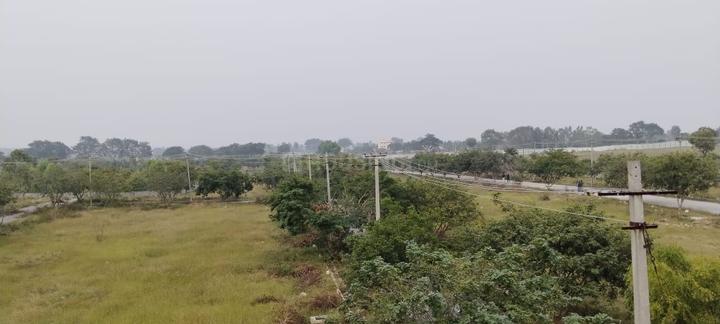 Vemagal Main Image 1