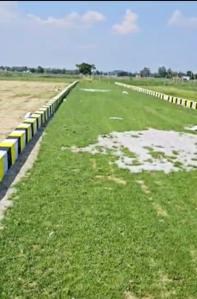 Magrahua Plot View 1