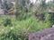 Keralarealty Main Image 1