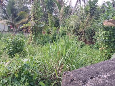 Image of 1742 Sq.ft Residential Plot / Land for sale in Kadavanthra, Kochi for Rs. 7800000
