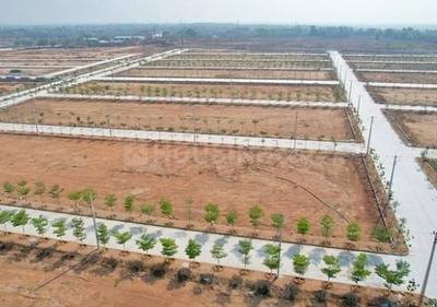 Residential Plot