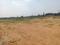 Golden City Main Image 1