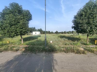 Residential Plot