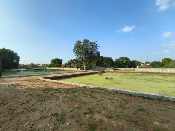 Alamnagar Main Image 1