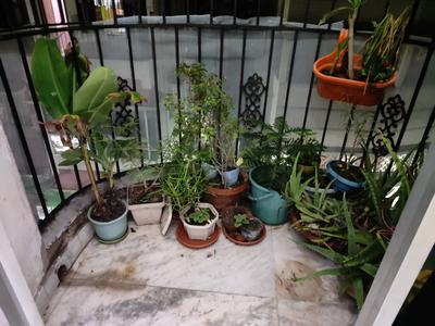 Balcony Image of 740 Sq.ft 2 BHK Apartment / Flat for sale in Sarada Pally Kolkata for Rs. 2000000