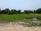 Natures Paradise Main Image 1