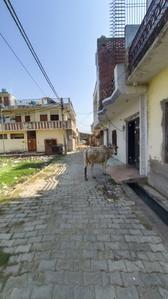 Image of 1200 Sq.ft 3 BHK Independent House for sale in Hiran Nagar, Unnao for Rs. 4000000