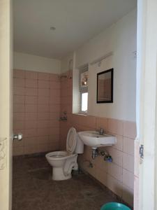 Common Bathroom Image of 700 Sq.ft 2 BHK Apartment / Flat for rent in Jaypee Aman, Aurangabad Noida for Rs. 17500