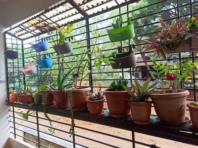 Balcony Image of 1100 Sq.ft 2 BHK Apartment / Flat for sale in Vidya Nagar Hubli for Rs. 8200000