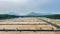 The Oak Tree Plot View 2