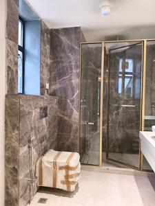 Common Bathroom Image of 3200 Sq.ft 4 BHK Builder Floor for sale in Sector 56 Gurgaon for Rs. 42500000