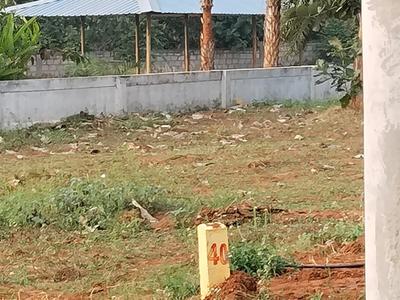 Atchuthapuram Plot View 2