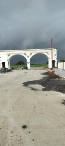 Songir Plot View 1