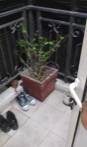 Balcony Image of 1450 Sq.ft 3 BHK Apartment / Flat for sale in DLF Capital Greens Phase 1 And 2, Karampura New Delhi for Rs. 28000000