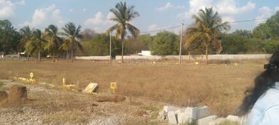 Residential Plot