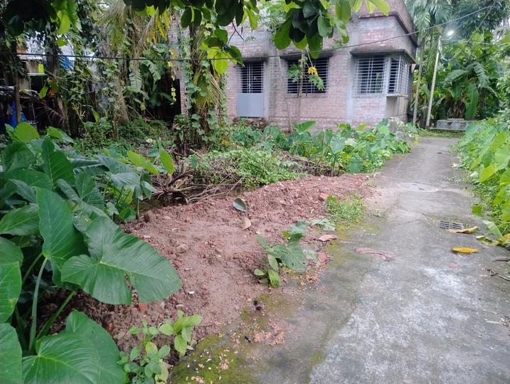 Netaji Pally, Purba Barisha Main Image 1