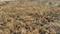 Mahamumbai Plots In Sarde Main Image 1