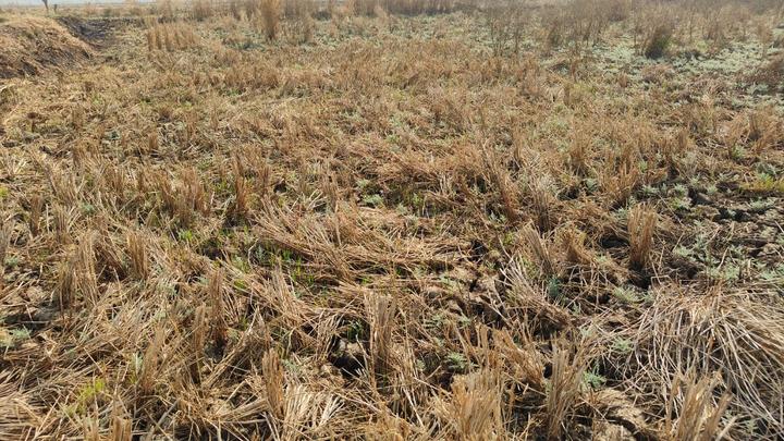 Mahamumbai Plots In Sarde Main Image 1