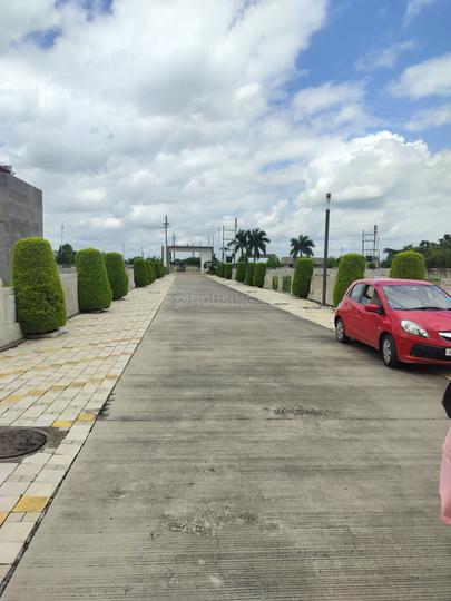 Apollo DB City Main Image 1