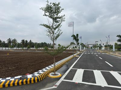 Residential Plot