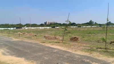 Residential Plot