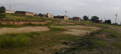 nill Plot View 1