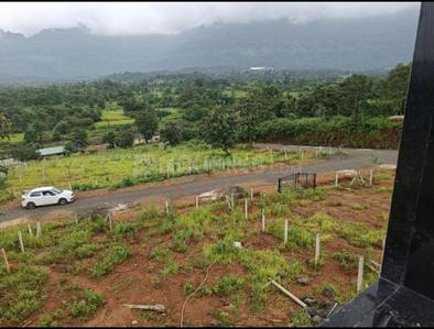 Neral Plot View 2