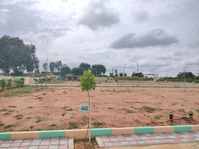 Residential Plot
