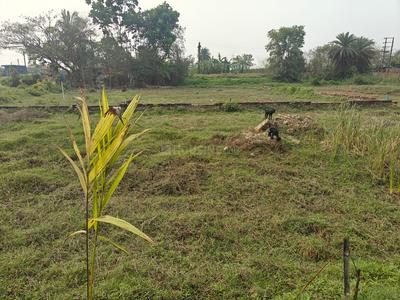 Sonarpur Plot View 3