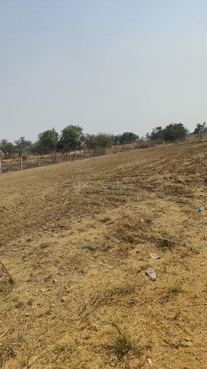 Nawabpet  Main Image 1