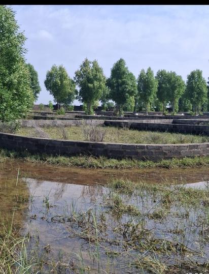 Dhandhuka Main Image 1