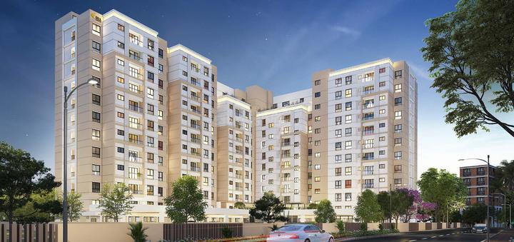 DRA D Elite Main Image 1