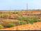 Patrapada Main Image 1
