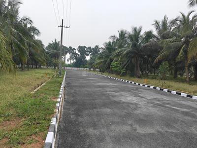 Residential Plot
