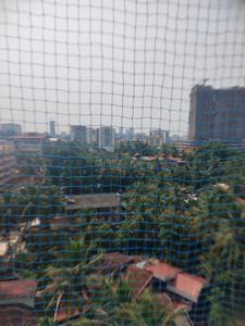 Image of 1290 Sq.ft 2 BHK Apartment / Flat for rent in Providence Cascade, Bejai, Mangalore for Rs. 33000