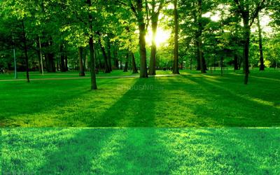 Image of 1980 Sq.ft 3.5 BHK Apartment / Flat for sale in Jaypee Krescent Homes, Sector 129, Noida for Rs. 14000000
