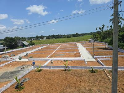 Kunnathery Thikavu Plot View 2