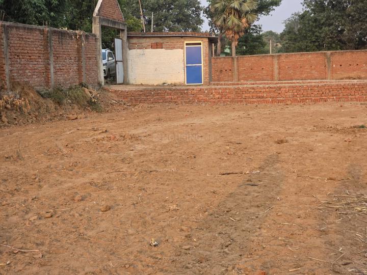 Bihta Main Image 1