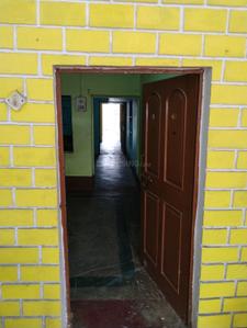 Image of 800 Sq.ft 3 BHK Independent House for rent in Sarkanda, Bilaspur for Rs. 8000