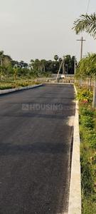 Kapuluppada Plot View 3