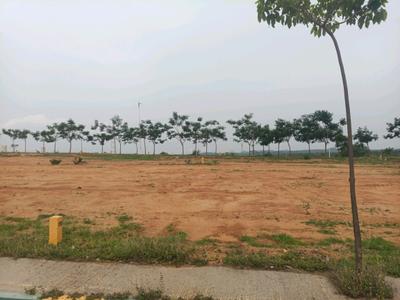 Residential Plot