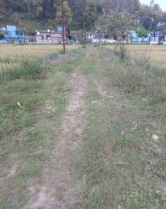 Dharmawala Plot View 2