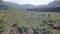 Dunga Valley Plot View 2