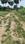 Roshan Valley Phase 2 Main Image 1