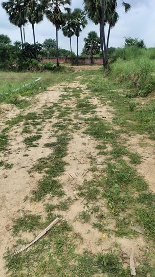 Roshan Valley Phase 2 Main Image 1