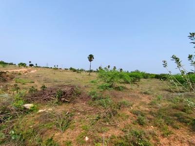 Image of 4624 Sq.ft Residential Plot / Land for sale in Avinashi Taluk, Tiruppur for Rs. 10000000